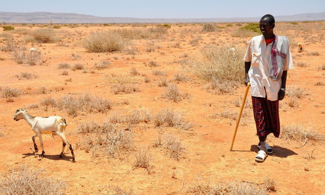 10 kỷ lục hạn hán khủng khiếp nhất trong lịch sử thế giới - Hình 6 10 ky luc han han khung khiep nhat trong lich su the gioi-Hinh-6