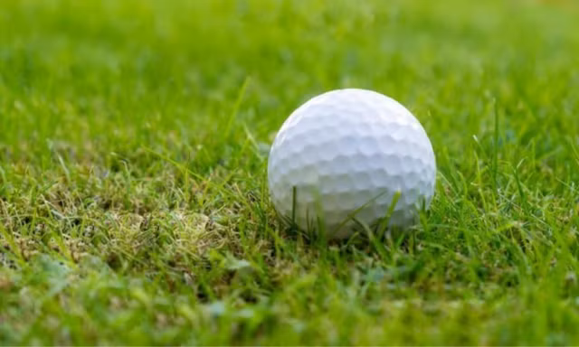 Rung minh nhung con mua ky di nhat hanh tinh-Hinh-10