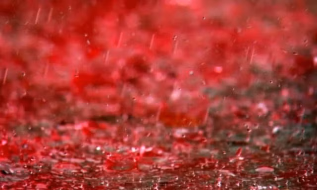 Rung minh nhung con mua ky di nhat hanh tinh-Hinh-9