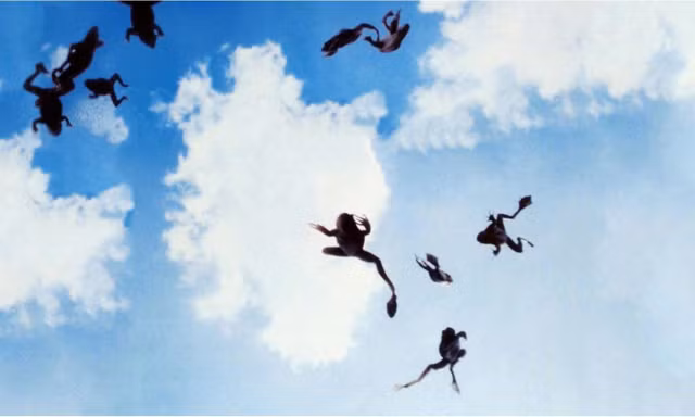 Rung minh nhung con mua ky di nhat hanh tinh-Hinh-4