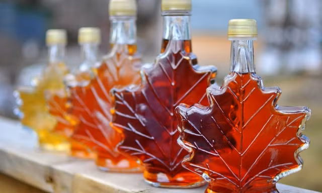 Dieu dac biet gi khien la phong do tro thanh linh hon cua Canada?-Hinh-9