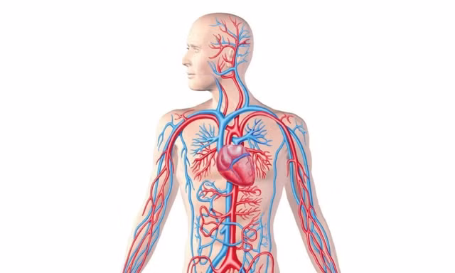 Kham pha 10 bi an tren co the nguoi it ai biet-Hinh-2