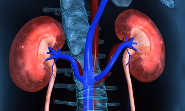 Kham pha 10 bi an tren co the nguoi it ai biet-Hinh-3