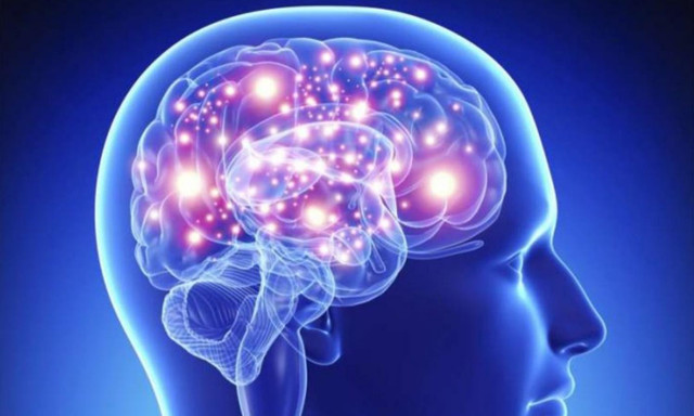 Khám phá 10 bí ẩn trên cơ thể người ít ai biết Kham pha 10 bi an tren co the nguoi it ai biet