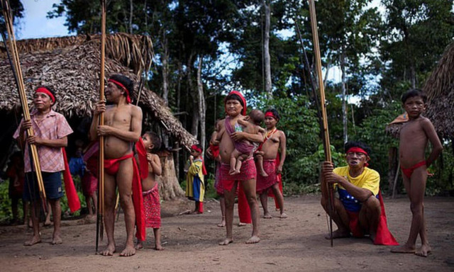 Khám phá 9 bí ẩn của về rừng già Amazon - Hình 6 Kham pha 9 bi an cua ve rung gia Amazon-Hinh-6