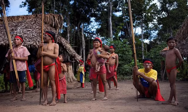 Kham pha 9 bi an cua ve rung gia Amazon-Hinh-6