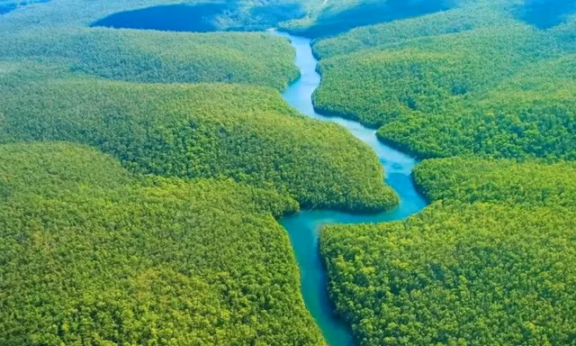 Kham pha 9 bi an cua ve rung gia Amazon-Hinh-3