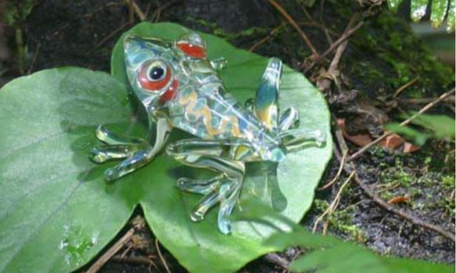 Khám phá 9 bí ẩn của về rừng già Amazon - Hình 4 Kham pha 9 bi an cua ve rung gia Amazon-Hinh-4