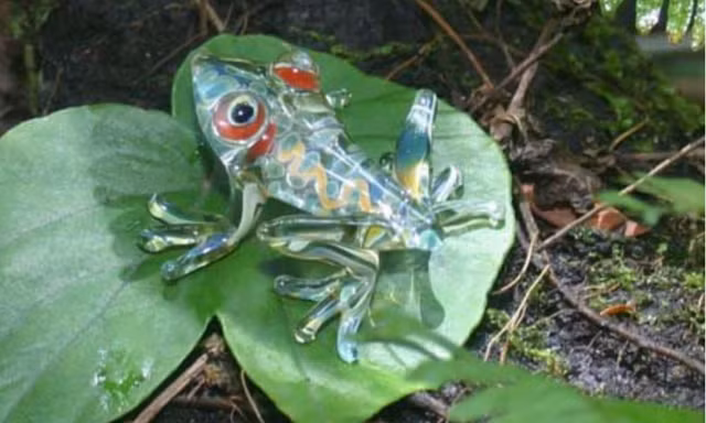 Kham pha 9 bi an cua ve rung gia Amazon-Hinh-4