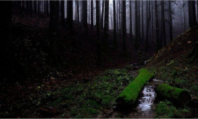 Khám phá 9 bí ẩn của về rừng già Amazon - Hình 2 Kham pha 9 bi an cua ve rung gia Amazon-Hinh-2