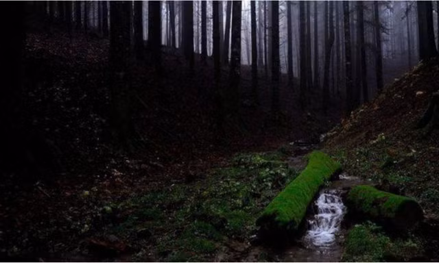 Kham pha 9 bi an cua ve rung gia Amazon-Hinh-2