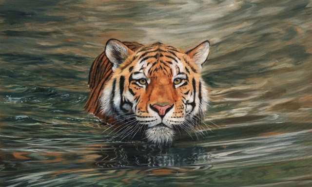 10 sự thật bất ngờ về loài mãnh thú cô độc nhất hành tinh - Hình 12 10 su that bat ngo ve loai manh thu co doc nhat hanh tinh-Hinh-12