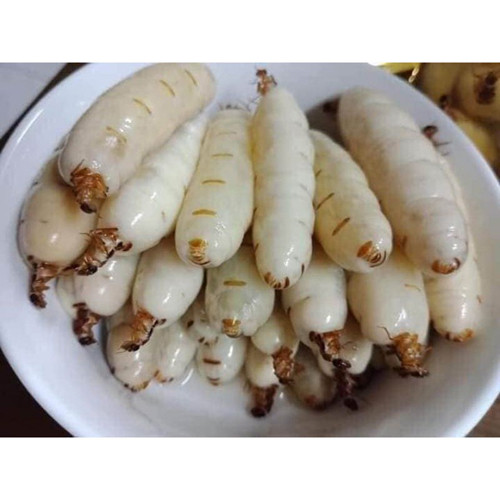 Nhà giàu hay săn lùng các đặc sản giá 'chát' này - Hình 3 Nha giau hay san lung cac dac san gia 'chat' nay-Hinh-3