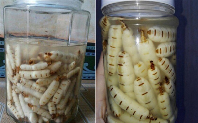 Nhà giàu hay săn lùng các đặc sản giá 'chát' này - Hình 4 Nha giau hay san lung cac dac san gia 'chat' nay-Hinh-4