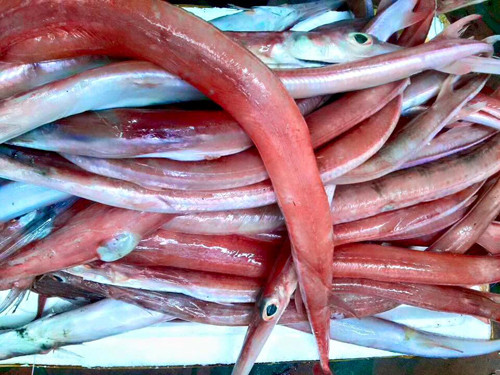 Nhà giàu hay săn lùng các đặc sản giá 'chát' này - Hình 9 Nha giau hay san lung cac dac san gia 'chat' nay-Hinh-9