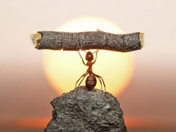 3 đặc điểm cho thấy bạn rất dễ thành công - Hình 9 3 dac diem cho thay ban rat de thanh cong-Hinh-9