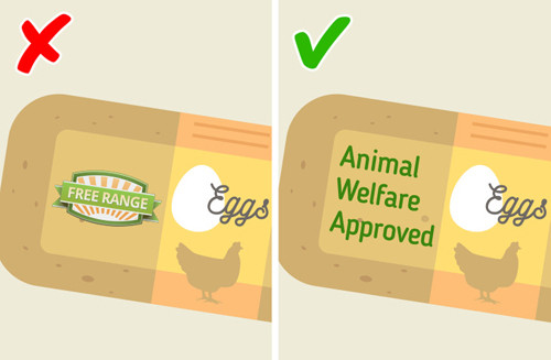 Những thực phẩm lành mạnh nhưng có ảnh hưởng tiêu cực như này - Hình 10 Nhung thuc pham lanh manh nhung co anh huong tieu cuc nhu nay-Hinh-10