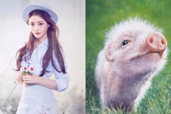 Tu vi ngay 30/08/2021 cho 12 con giap: Ty mat tien, Ngo khoan thu bat ngo-Hinh-12