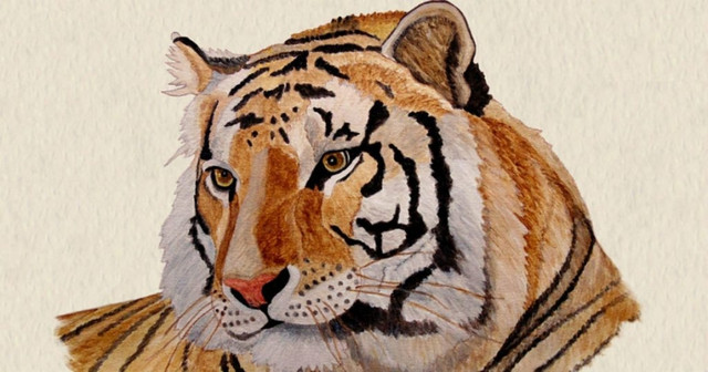 Bốn con giáp gặp hạn Thái Tuế nặng nề trong năm 2022 - Hình 2 Bon con giap gap han Thai Tue nang ne trong nam 2022-Hinh-2