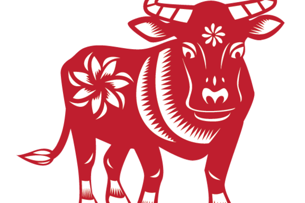 3 con cá chép hóa rồng, tài sản khổng lồ năm 2022 - Hình 6 3 con ca chep hoa rong, tai san khong lo nam 2022-Hinh-6