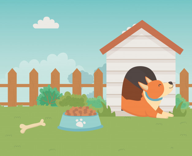 Tử vi tuần từ 21/6/2021 đến 27/6/2021 cho 12 con giáp: Tuất đầy vượng khí - Hình 11 Tu vi tuan tu 21/6/2021 den 27/6/2021 cho 12 con giap: Tuat day vuong khi-Hinh-11