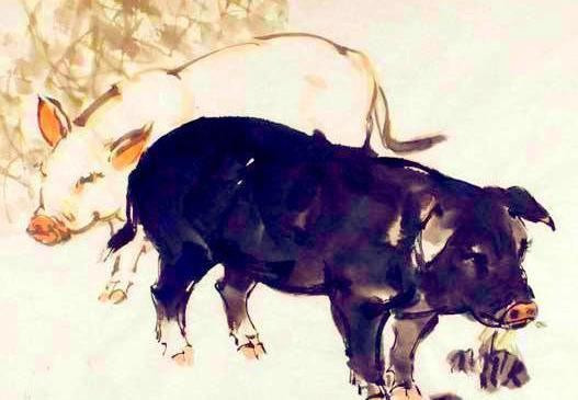 Tử vi ngày 29/12/2020 cho 12 con giáp: Mão, Tuất may mắn về tiền bạc, Tý tự chủ - Hình 12 Tu vi ngay 29/12/2020 cho 12 con giap: Mao, Tuat may man ve tien bac, Ty tu chu-Hinh-12