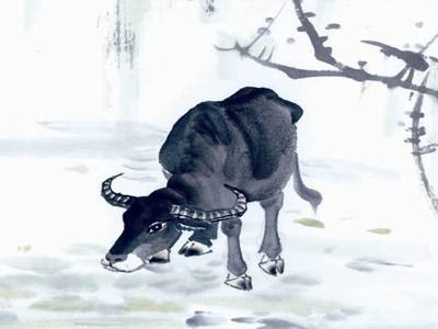 Tử vi ngày 29/12/2020 cho 12 con giáp: Mão, Tuất may mắn về tiền bạc, Tý tự chủ - Hình 2 Tu vi ngay 29/12/2020 cho 12 con giap: Mao, Tuat may man ve tien bac, Ty tu chu-Hinh-2