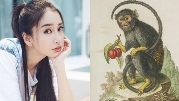 Dự đoán ngày mới 19/06/2023 cho 12 con giáp: Thìn vượng vận, Tý tiêu hoang - Hình 9 Du doan ngay moi 19/06/2023 cho 12 con giap: Thin vuong van, Ty tieu hoang-Hinh-9