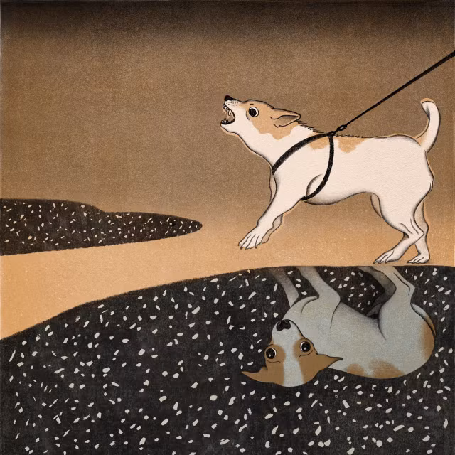 Tu vi ngay 8/7/2021 cho 12 con giap: Ty bi lua tien, Ty vi chat cang-Hinh-11