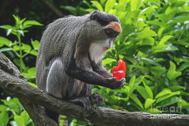 Tu vi ngay 30/5/2020 cho 12 con giap: Than can chu y, Thin do loi cho so phan-Hinh-9