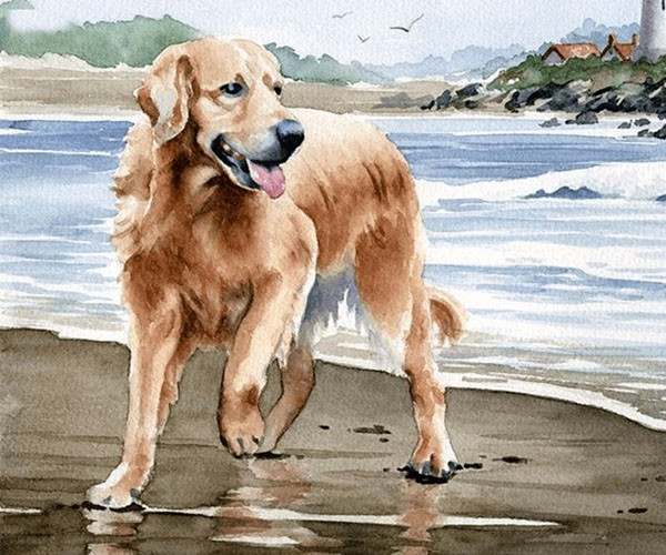 3 con giáp đón Tết Nhâm Dần 2022 cực sung túc - Hình 6 3 con giap don Tet Nham Dan 2022 cuc sung tuc-Hinh-6