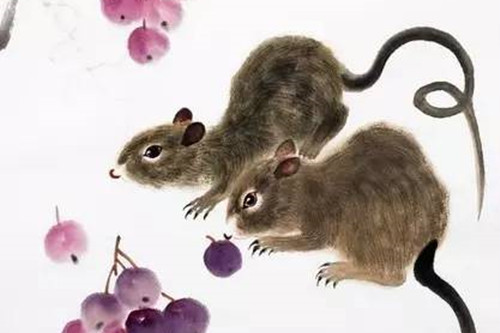 Càng về cuối năm, 3 con giáp thành công vang dội - Hình 5 Cang ve cuoi nam, 3 con giap thanh cong vang doi-Hinh-5