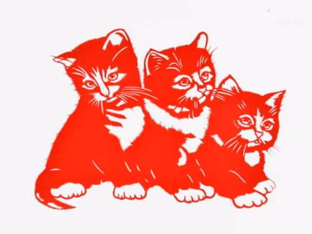 Tử vi ngày 31/08/2021 cho 12 con giáp: Hợi tụt dốc, Sửu giàu nứt vách - Hình 4 Tu vi ngay 31/08/2021 cho 12 con giap: Hoi tut doc, Suu giau nut vach-Hinh-4