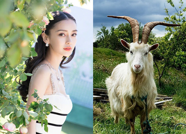 Từ 18/3 - 30/3/2023: Ba con giáp đằng Đông hốt vàng, đằng Tây hốt bạc - Hình 2 Tu 18/3 - 30/3/2023: Ba con giap dang Dong hot vang, dang Tay hot bac-Hinh-2