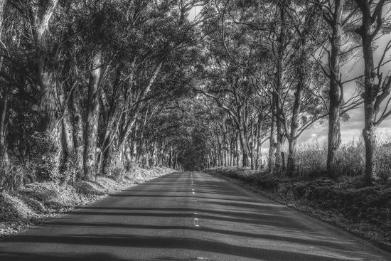 Hawaii cũng có những địa điểm lạnh gáy như ma ám - Hình 10 Hawaii cung co nhung dia diem lanh gay nhu ma am-Hinh-10