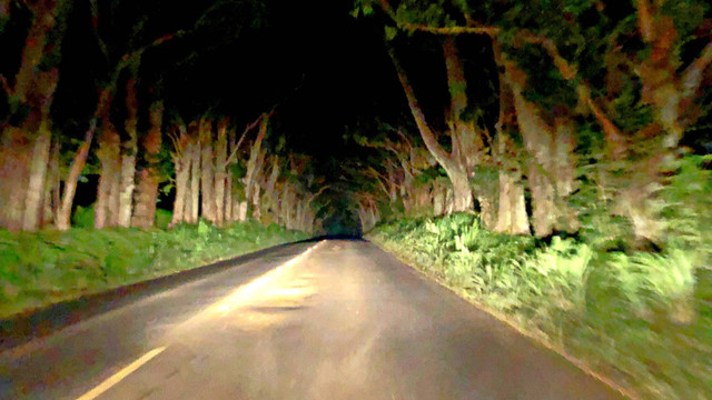 Hawaii cũng có những địa điểm lạnh gáy như ma ám - Hình 9 Hawaii cung co nhung dia diem lanh gay nhu ma am-Hinh-9