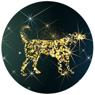 Con giáp nào hên và xui nhất trong tháng 11? - Hình 11 Con giap nao hen va xui nhat trong thang 11?-Hinh-11