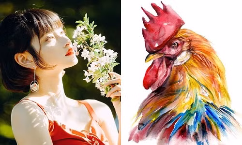 3 con giáp phá sản trắng tay trong năm 2022 - Hình 6 3 con giap pha san trang tay trong nam 2022-Hinh-6