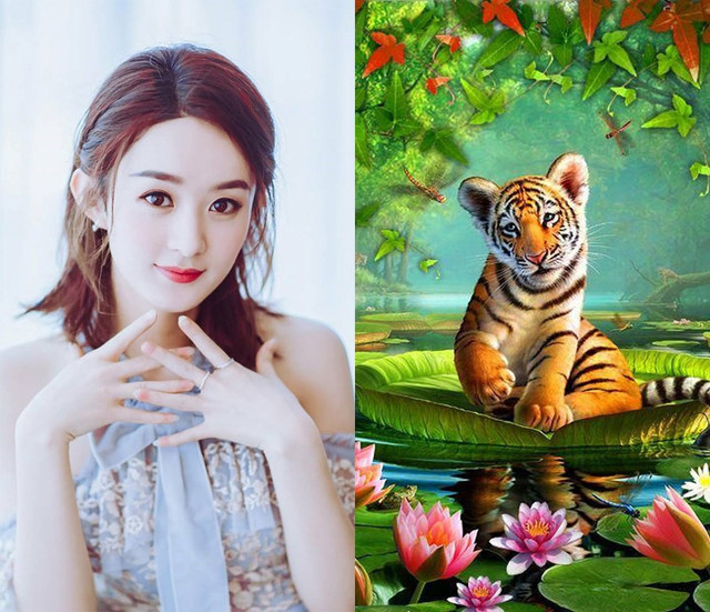 3 con giáp như Rồng cưỡi mây, hưởng lộc lớn trong 2 tuần đầu tháng 5 - Hình 4 3 con giap nhu Rong cuoi may, huong loc lon trong 2 tuan dau thang 5-Hinh-4