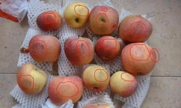 Hai vo chong cung mac ung thu gan vi thoi quen nay