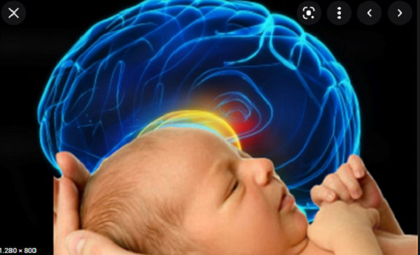 Những thực phẩm trẻ dưới 1 tuổi nên tránh xa - Hình 10 Nhung thuc pham tre duoi 1 tuoi nen tranh xa-Hinh-10