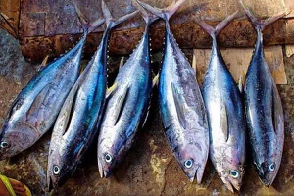 Những thực phẩm trẻ dưới 1 tuổi nên tránh xa - Hình 7 Nhung thuc pham tre duoi 1 tuoi nen tranh xa-Hinh-7