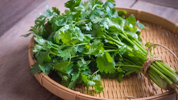 Nhung thuc pham rat tot cho suc khoe nhung it nguoi an-Hinh-9