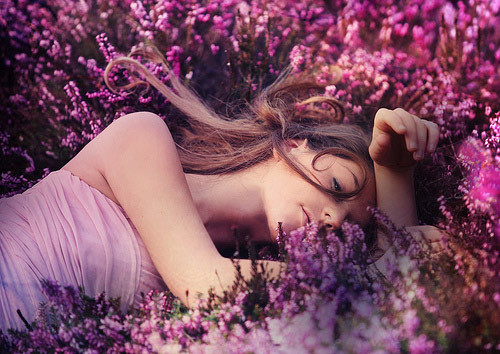 Những loại tinh dầu thơm giúp bạn ngủ ngon Nhung loai tinh dau thom giup ban ngu ngon