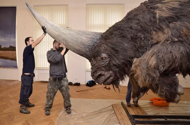 Bat ngo voi nguon goc that su cua ky lan-Hinh-4