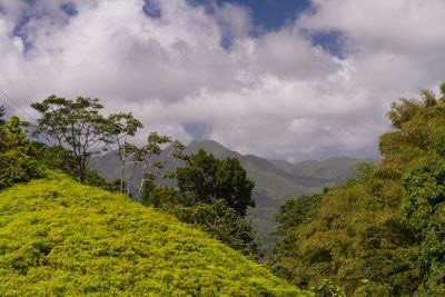 10 quốc gia nhỏ xíu nhưng có những điều cực độc lạ - Hình 9 10 quoc gia nho xiu nhung co nhung dieu cuc doc la-Hinh-9