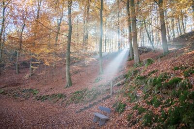 10 quốc gia nhỏ xíu nhưng có những điều cực độc lạ - Hình 4 10 quoc gia nho xiu nhung co nhung dieu cuc doc la-Hinh-4