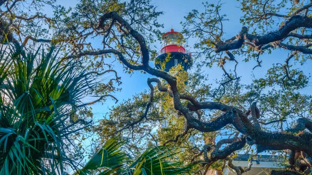 Top 7 dia diem bi don 