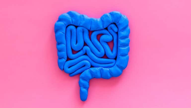 Những mẹo giúp hệ tiêu hóa khỏe mạnh, tránh xa táo bón Nhung meo giup he tieu hoa khoe manh, tranh xa tao bon