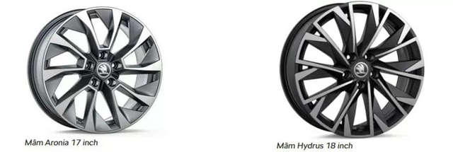 Xe Skoda Kodiaq và Karoq đang được ưu đãi lệ phí trước bạ - Hình 3 Xe Skoda Kodiaq va Karoq dang duoc uu dai le phi truoc ba-Hinh-3